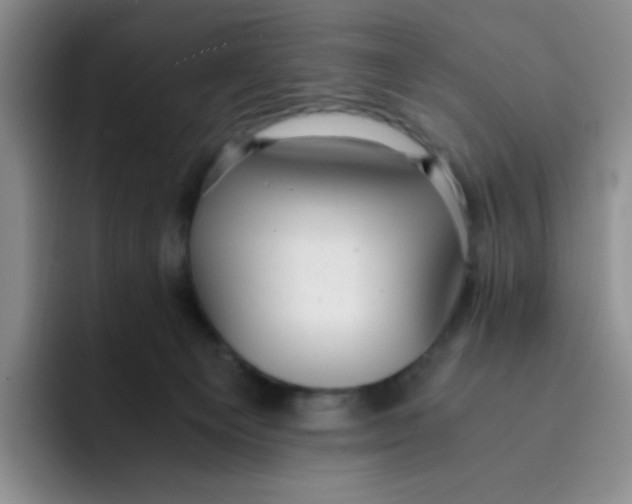 X0000091660129200709201151
