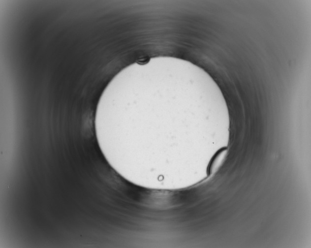 X0000091660144200709201151