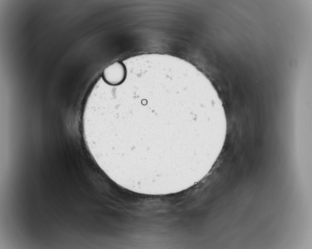 X0000091660146200709201150