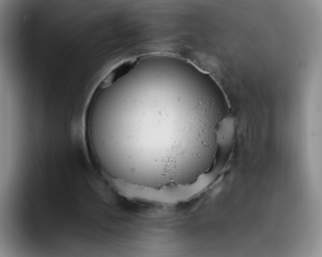 X0000091660148200709201150