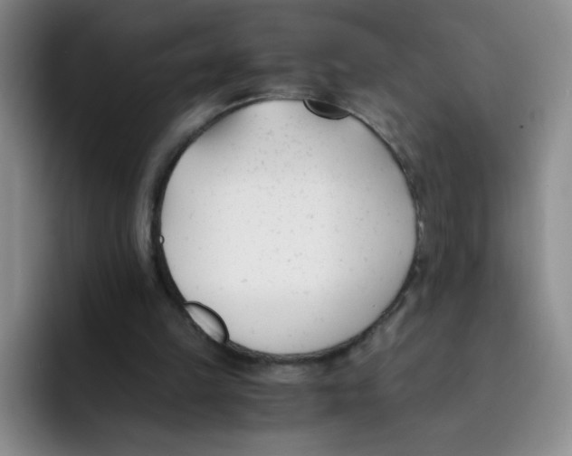 X0000091660149200709201150