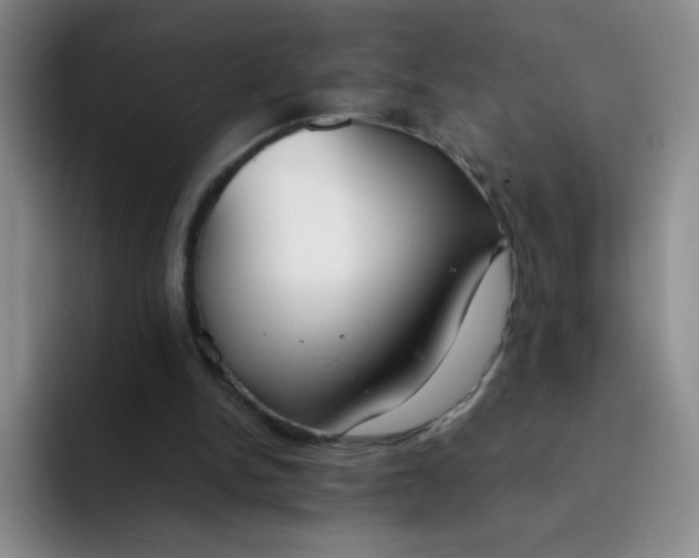 X0000091660150200709201150