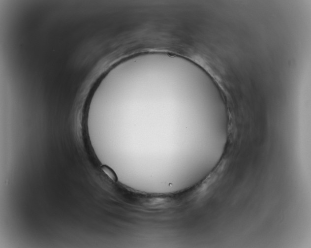 X0000091660151200709201150