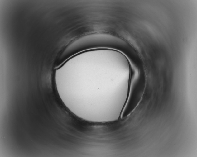 X0000091660154200709201151