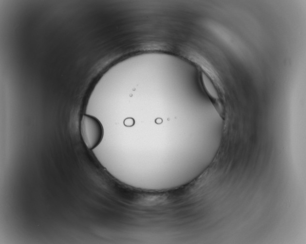 X0000091660155200709201151