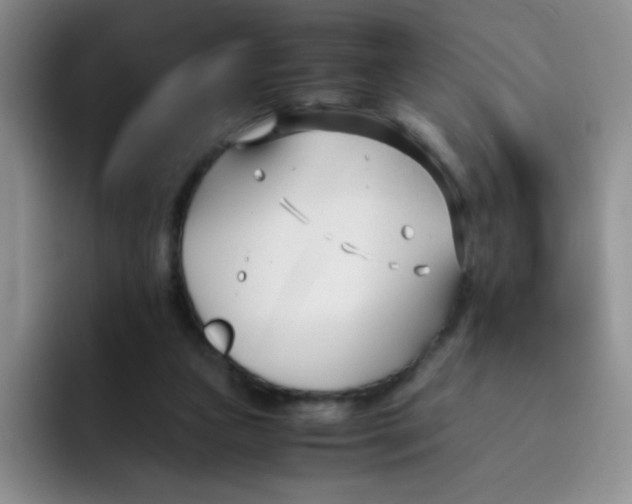 X0000091660161200709201151