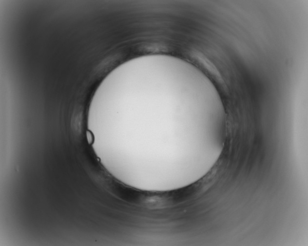 X0000091660163200709201151