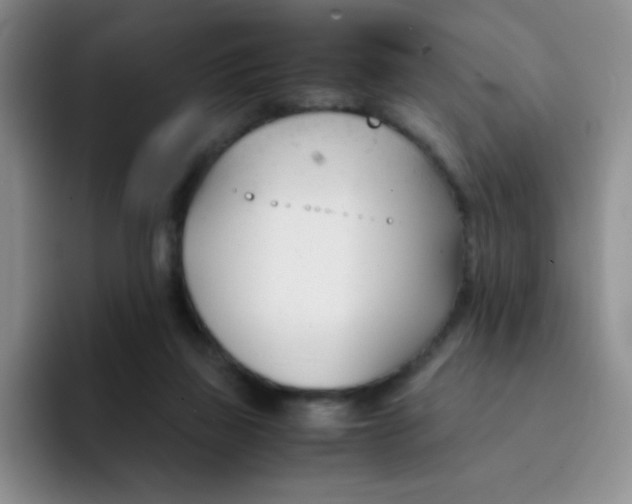 X0000091660165200709201151