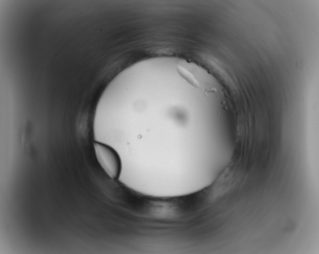 X0000091660167200709201151
