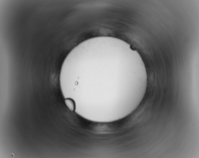 X0000091660177200709201151