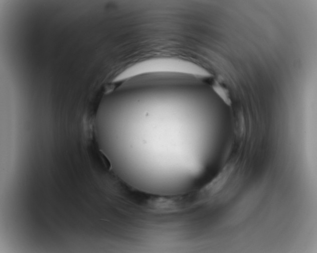 X0000091660180200709201151