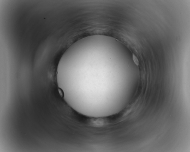 X0000091660181200709201151