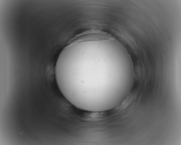X0000091660184200709201151