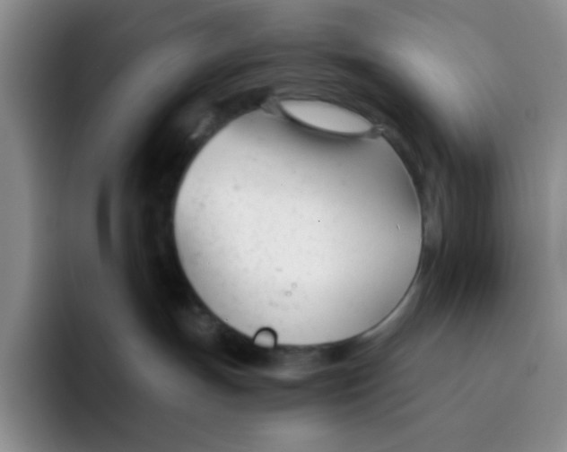 X0000091660191200709201151