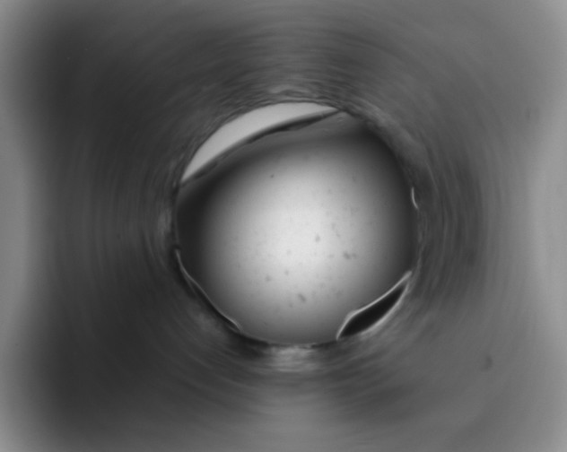 X0000091660192200709201151