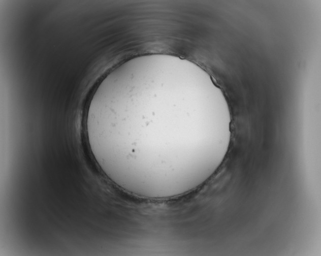 X0000091660194200709201150