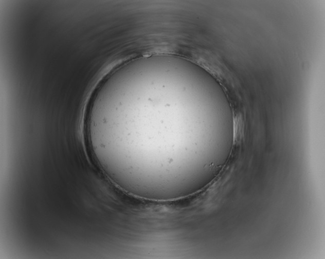 X0000091660195200709201150