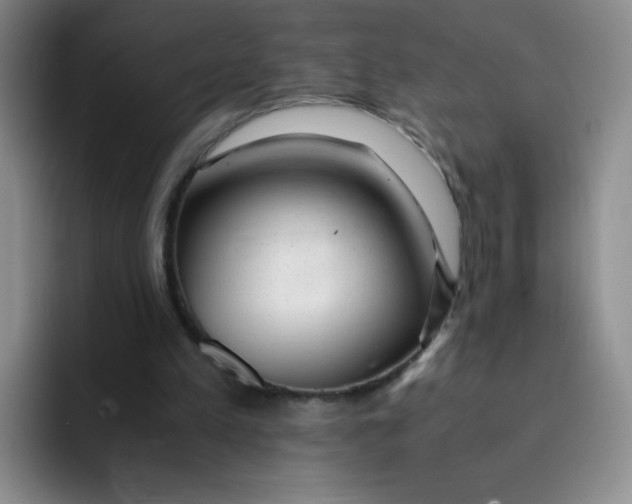 X0000091660197200709201150