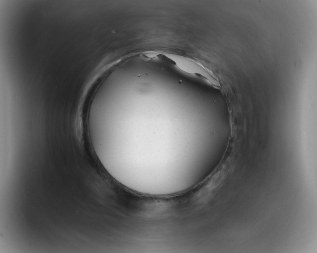 X0000091660198200709201150