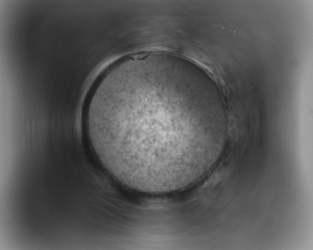 X0000091660200200709201150
