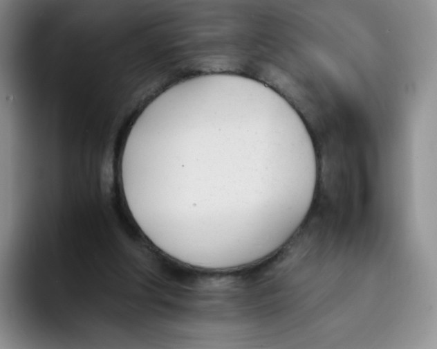 X0000091660202200709201150