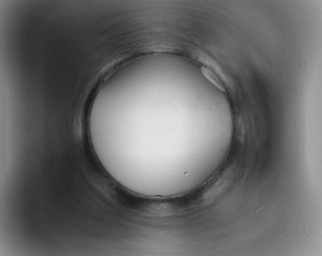 X0000091660203200709201150