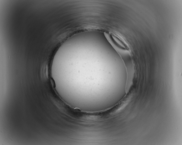 X0000091660205200709201150