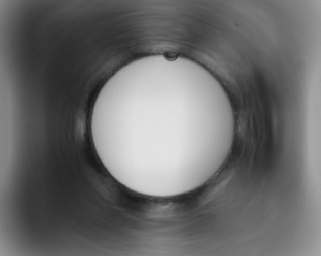 X0000091660206200709201150