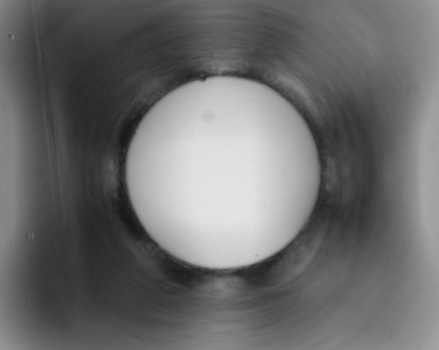 X0000091660210200709201150