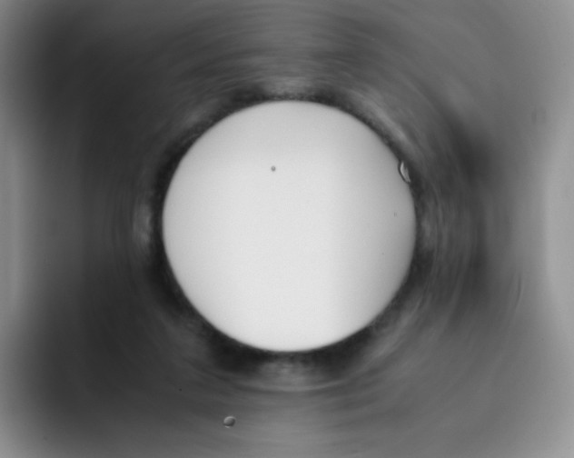 X0000091660211200709201150