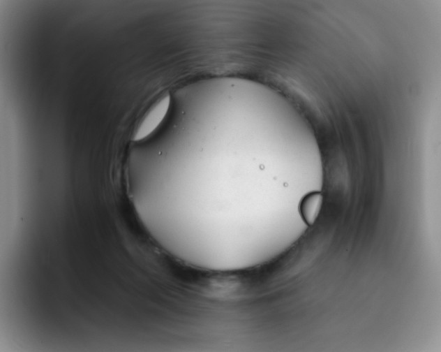 X0000091660214200709201150