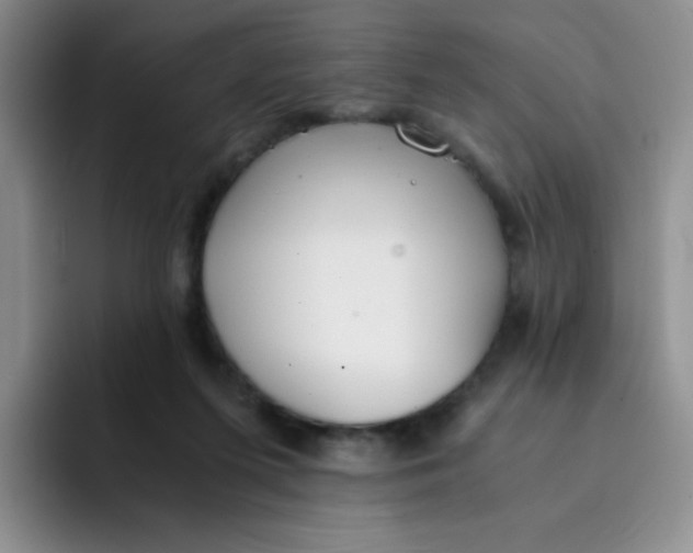 X0000091660215200709201150