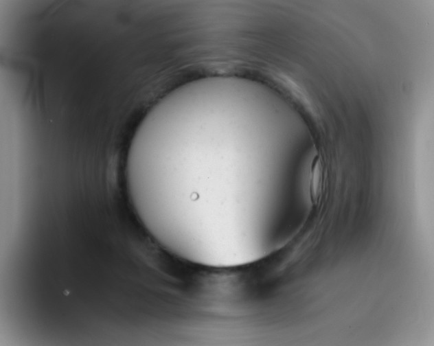 X0000091660217200709201150