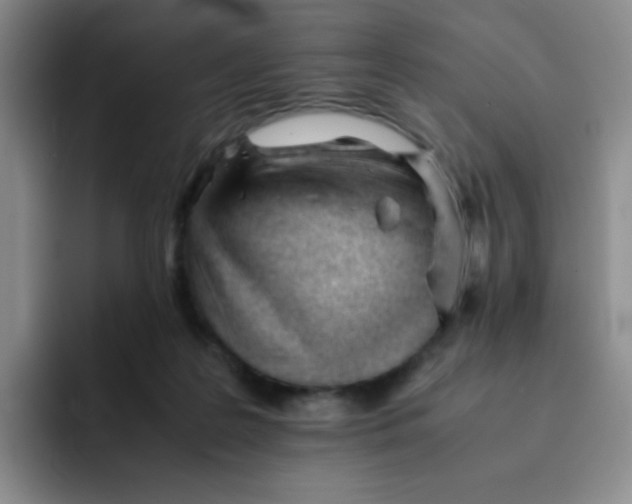 X0000091660219200709201150