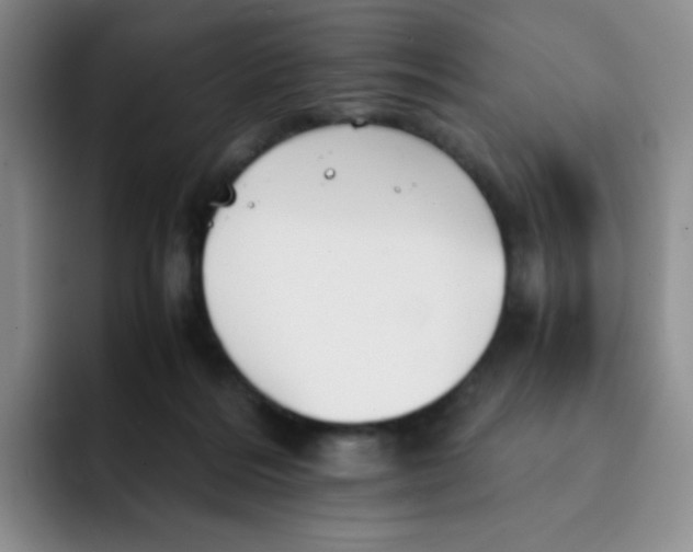 X0000091660220200709201150