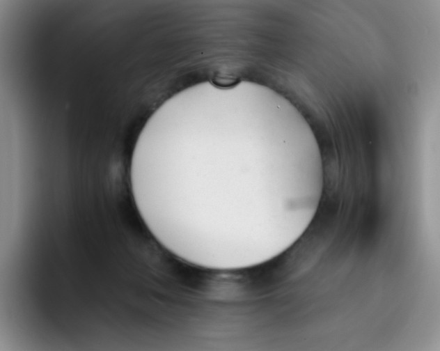 X0000091660222200709201150