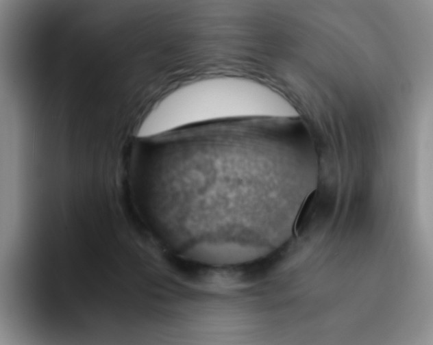 X0000091660223200709201150