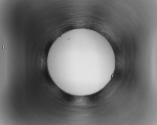 X0000091660226200709201150