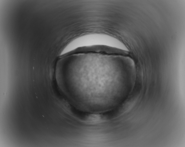 X0000091660227200709201150