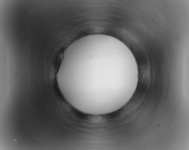 X0000091660230200709201150