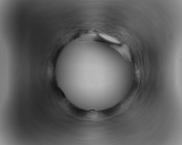 X0000091660231200709201150