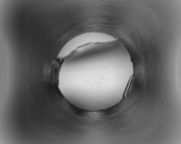 X0000091660233200709201150