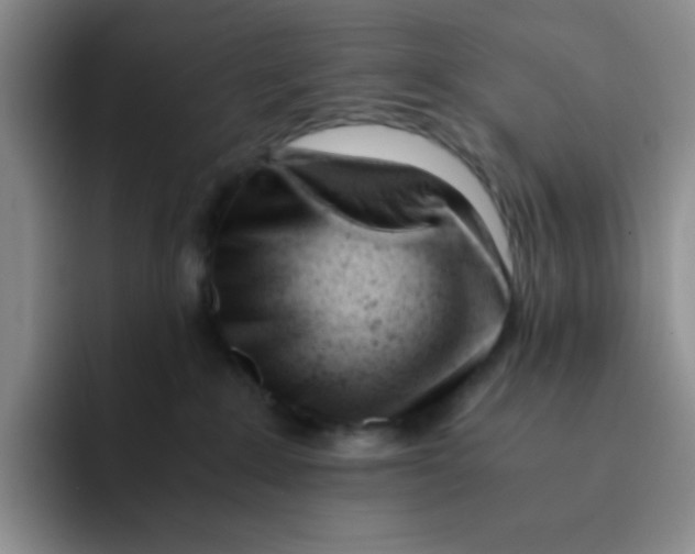 X0000091660235200709201150