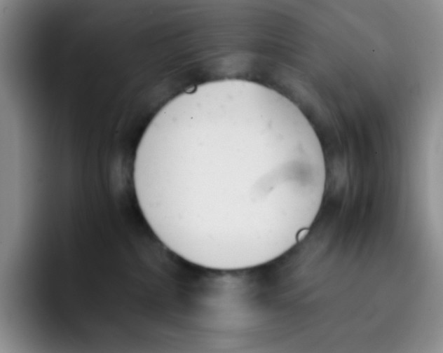 X0000091660236200709201150