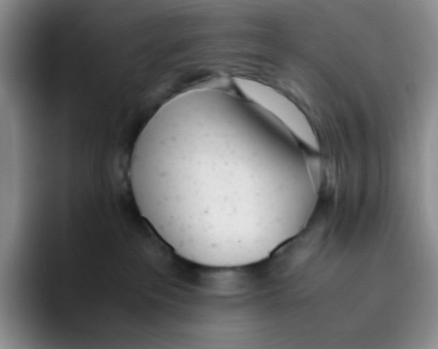 X0000091660237200709201150