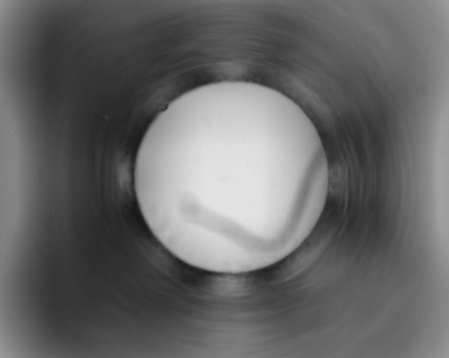 X0000091660238200709201150