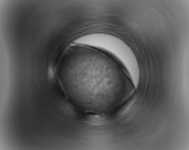 X0000091660239200709201150