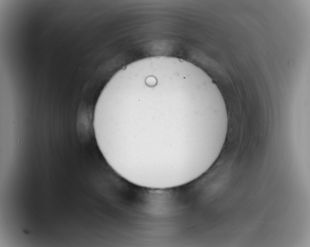 X0000091660240200709201150