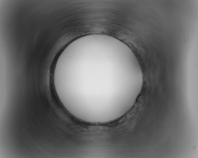 X0000091660242200709201149