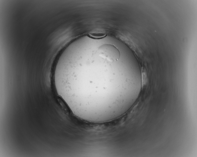 X0000091660243200709201149